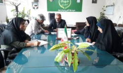 افزایش ۳۰۰ درصدی اعتبارات کشاورزی در جویبار / اختصاص ۴ میلیارد و ۱۵۰ میلیون تومان از محل کمیته برنامه‌ریزی