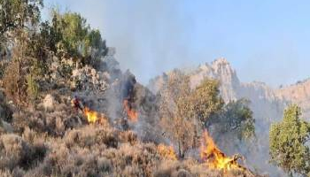اعزام ۴۰۰ نیروی کمکی به جنگل‌های الیت/ عملیات مهار آتش‌سوزی وارد مرحله جدیدی شد
