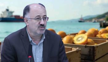 گام‌های بزرگ مازندران در صادرات کیوی و میوه‌های رنگی/ تحولی در بازار جهانی