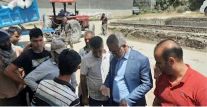خرید تضمینی گندم از کشاورزان مازندران از مرز ۸۰ هزار تن گذشت