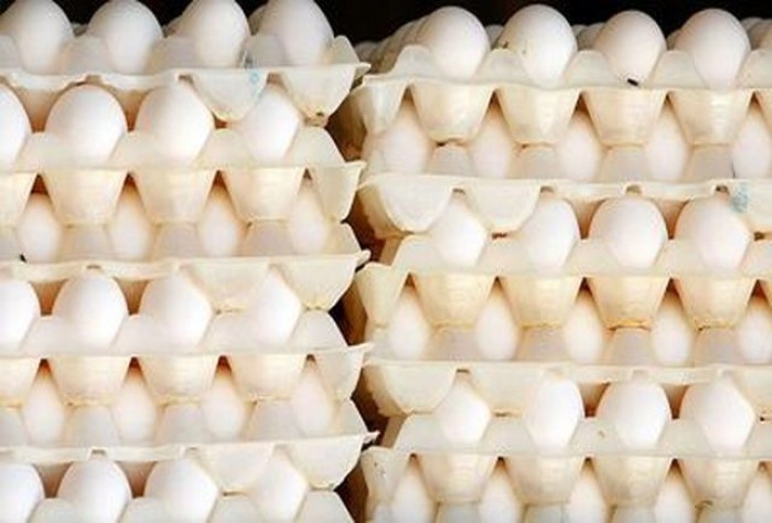قیمت مصوب هر شانه تخم‌مرغ در فروشگاه‌ها حداکثر ۲۰ هزار تومان است / عرضه تخم‌مرغ در میادین میوه و تره‌بار