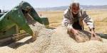 10 تن بذر کشت پاییزه در میان کشاورزان سوادکوه توزیع می شود