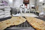 کشیک نوروزی ۲۸۰ نانوایی در مازندران