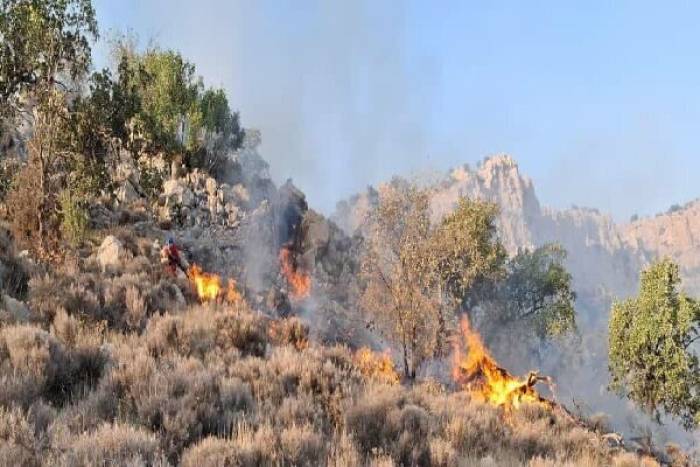 اعزام ۴۰۰ نیروی کمکی به جنگل‌های الیت/ عملیات مهار آتش‌سوزی وارد مرحله جدیدی شد