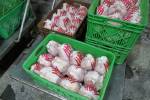 گشت زنی بازرسان و به دام افتادن کامیون های حامل غیرقانونی گوشت مرغ در قائمشهر