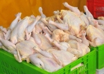 سناریوی اختلافات بر سر قیمت مرغ همچنان ادامه دارد
