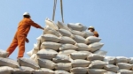 دعوای دو وزارتخانه بر سر واردات برنج