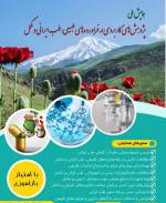 پژوهش های کاربردی در طب ایرانی در مازندران بررسی می شود