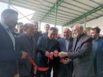 کارخانه تولید خوراک دام، طیور و آبزیان در قائمشهر افتتاح شد