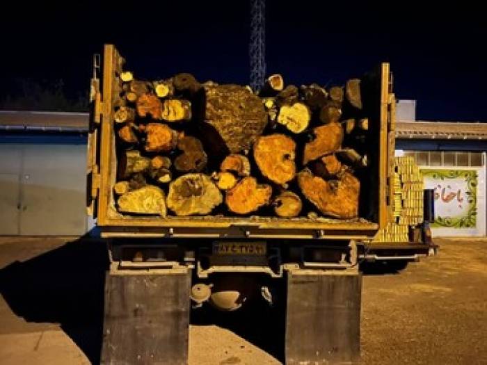 کشف و توقیف ۷ دستگاه خودرو حامل چوب آلات جنگلی قاچاق در ساری
