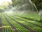 7 پروژه کشاورزی با اعتباری بالغ بر 10 میلیارد تومان افتتاح می شود