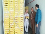 صادرات 340 تن هلو و شلیل از میاندورود به روسیه