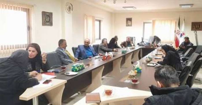 مشاوران مجرب می توانند راهگشای واحدهای تولید باشند
