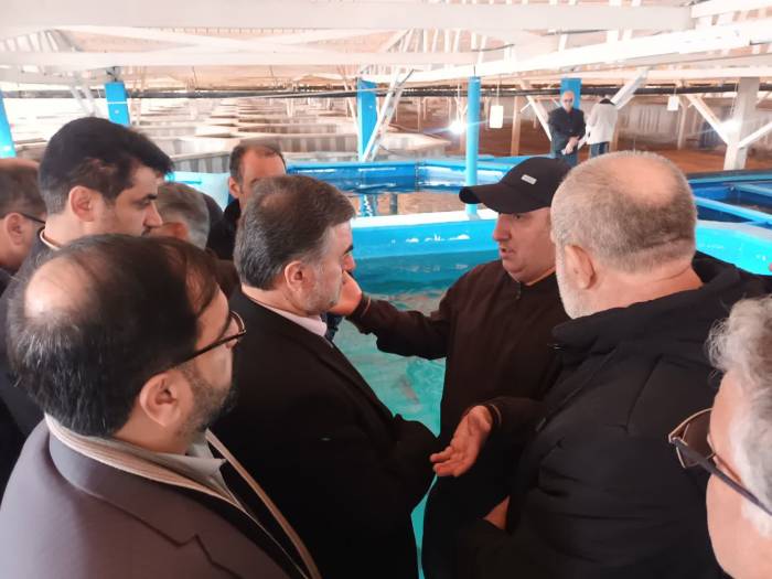 استاندار مازندران خبر داد؛ هدفگذاری برای افزایش تولید آبزیان در استان
