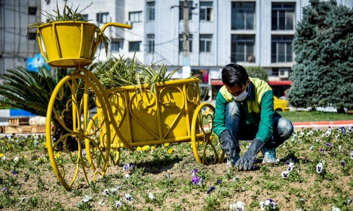 شهرداری ساری با کاشت ۴۰ هزار گل و گیاه به استقبال نوروز رفت