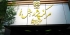 مصوبه دولت درباره افزایش حقوق کارمندان نقض آشكار مصوبه مجلس است