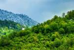 جنگل‌های هیرکانی/ ثروتی طبیعی میان فرصت و تهدید