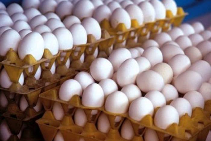 ۲.۵ تن تخم مرغ احتکار شده در شهر شاندیز کشف شد
