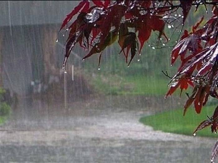 پیش بینی بارندگی در 12 استان کشور