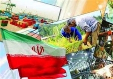 دولت با ۹۰ هزار میلیارد تومان پول اشتغال چه کرد؟
