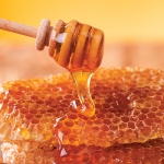 نیمی از عسل تولیدی مازندران صادر می‌شود/ صندوق حمایت از توسعه زنبورداری فعال می شود