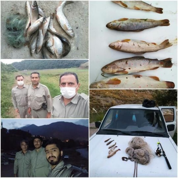 متخلفان شکار و صید در مازندران دستگیر شدند