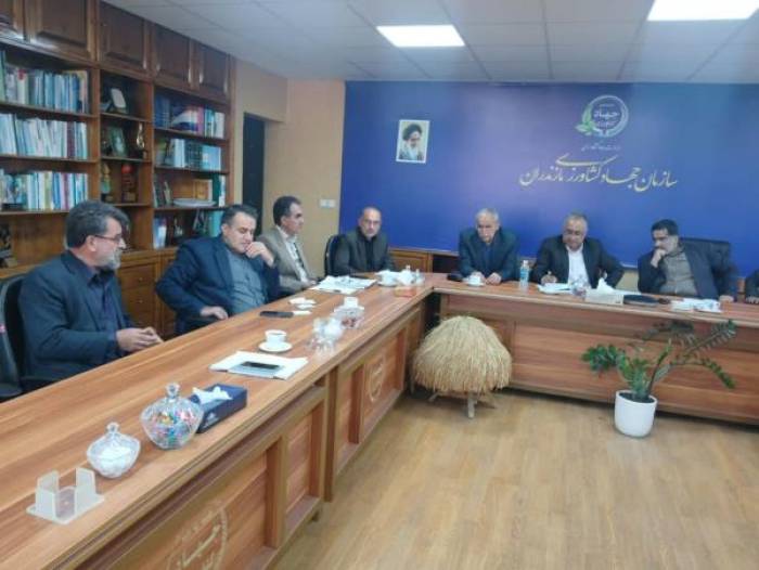 جهاد کشاورزی مازندران: کالا هست، نگرانی نیست