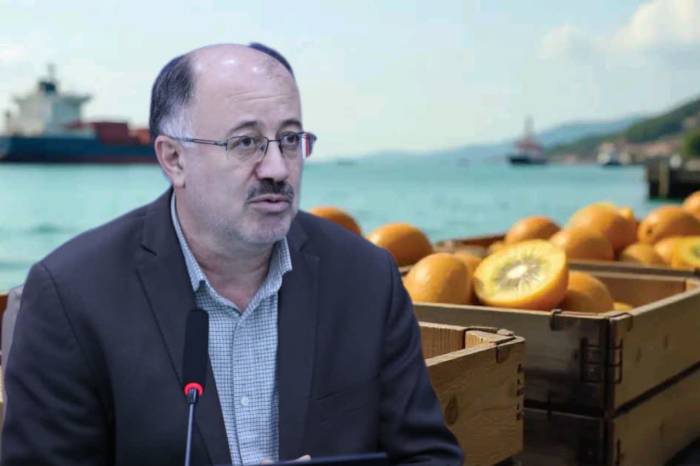 گام‌های بزرگ مازندران در صادرات کیوی و میوه‌های رنگی/ تحولی در بازار جهانی