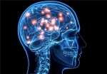 سکته مغزی تا سه ساعت قابل درمان است/ خطر زالو درمانی برای سکته مغزی