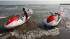 حضور امدادگران هلال احمر مازندران در 400 نقطه حادثه خیز ساحلی