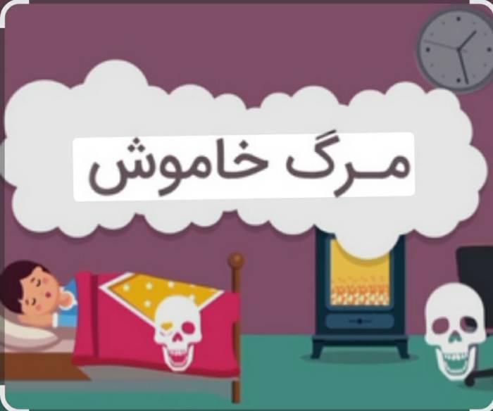 هشدار پزشکی قانونی: ۲۶ نفر قربانی گاز منوکسید کربن در مازندران طی سال جاری